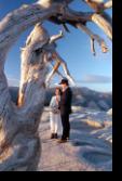 wedding on sentinel dome in yosemite